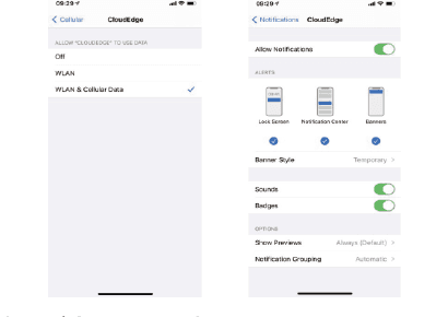 Pantallas de ajustes de iOS que muestran activados los datos de WLAN y móviles y las notificaciones permitidas para la aplicación