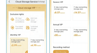 月額VIP・シーズンVIP・年額VIPのストレージプランと、3日間・7日間の上書きオプションを表示したクラウドストレージサービス画面